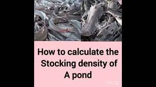 How to calculate the stocking density in a pond