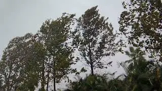 HURRICANE IAN Riverview FL I-75 1:15 PM 9-28-22 