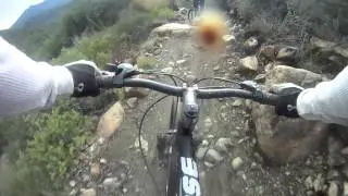 tamarancho #1