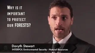 Why is it important to protect our forests?