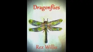 Dragonflies, Flute Quartet by Rex Willis