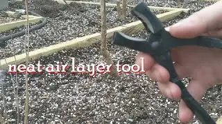 air layering basics and helpful tips