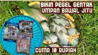 RACIKAN UMPAN BAWAL PALING JITU || LANGSUNG TES || PELET J1TU