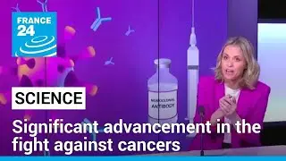 The Car-T cell revolution: reprogramming lymphocytes against cancer &bull; FRANCE 24 English
