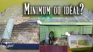 Le minimum? L'id&eacute;al? Discussion sur le sujet