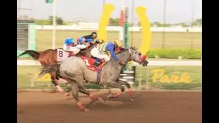 RACE CAR - DANE NELSON - 06AUG2020