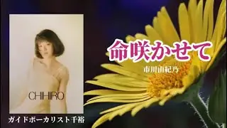 命咲かせて（市川由紀乃）、歌：ガイドボーカリスト千裕