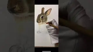 Special Drawing Very Best, The Best Drawing expert part  1400