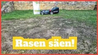 Moos entfernen - Gras / Rasen s&auml;en! Sport- und Spielrasen