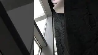 Curtain wall leak 1