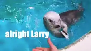 Inspector Otter - Ep. 4