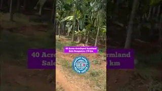 40 Acres Developed Farmland for Sale || near Hiriyur Town Limit! 🌳