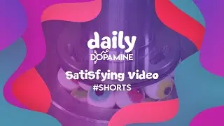 Daily Dopamine Satisfying Video | #35