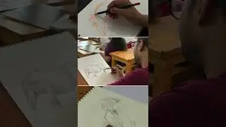 Animal Study