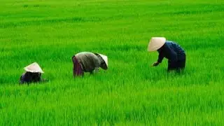 RELAXING MUSIC#TRADISIONAL#WESTJAVA#INDONESIA