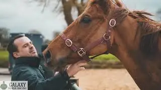 Galaxy Horse Racing Syndicate