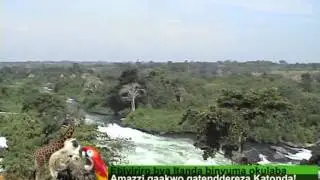 Uganda zaabu-Ebiyiriro Itanda binyuma okulaba