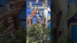 ZAP DU BOURBIER N&deg;7 💀