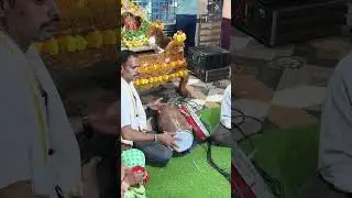 శరణంటి మమ్మ అమ్మ అమ్మ  అని. శ్రీ వేణు గోపాల భజన బృందం కాట్రావులపల్లి గ్రామం  