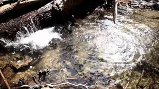 Small crystal-clear waterfall and pool static camera realtime HD V09114