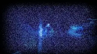 Bug in Slender Haunt