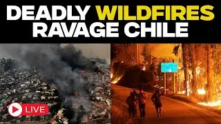 Chile Wildfire LIVE: At Least 18 Dead And Many Injured As Wildfires Go Out of Control in Chile
