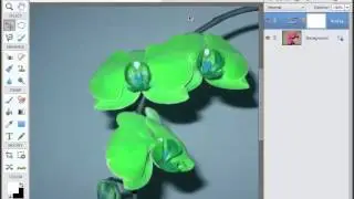 How to Use Layers in Photoshop Elements 12 - Part 1 - Introduction to Layers