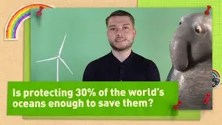Is protecting 30% of the world's oceans enough to save them?