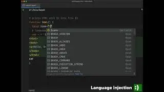 Editing Bash scripts with BashSupport Pro and a JetBrains IDE