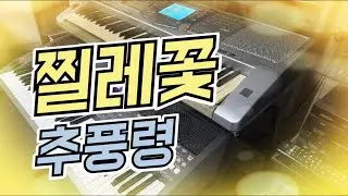 찔레꽃(백난아)추풍령(남상규)  전자올겐 레슨 : 010-4578-1205(친절 상담) 서울