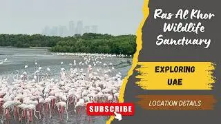 Ras Al Khor Wildlife Sanctuary Dubai | Ras Al khor Flamingo Hide Viewing Area