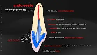 Endo-resto recommendations