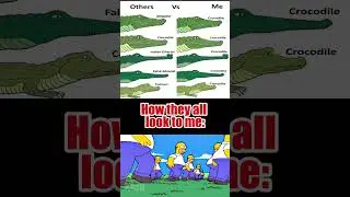 When every reptile is just... a crocodile 🐊🧠 #memes  #funnyshorts #shorts  #fyp #crocodile