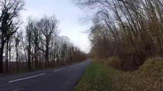 Yamaha Fz1 leovince gp style exhaust fly by