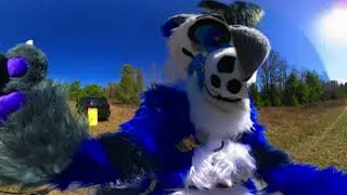 360&deg; POV: a very hot furry wolf finds you alone in his field