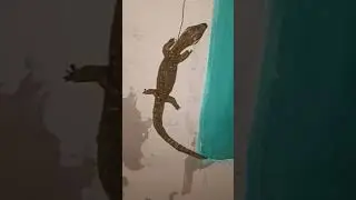 realistic lizard sculptures #creativeart #art #lizard #sculpture #shorts #craft#new #viral #youtube