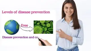The Three Levels of Disease Prevention: How to Stay Healthy and Manage Risks