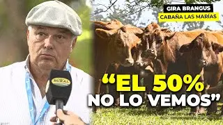 &ldquo;M&aacute;s del 50% de lo producido NO lo vemos. Esto es ESCLAVITUD&rdquo; | Estancia &ldquo;Las Mar&iacute;as&rdquo; - #GiraBrangus
