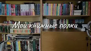 МОИ КНИЖНЫЕ ПОЛКИ📚