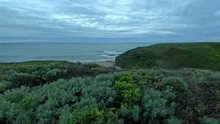 Spring Time in Coastal California | 30 Minutes of Ocean, Bird & Frog Sounds