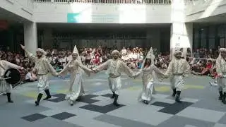 Zaffah Performance 1