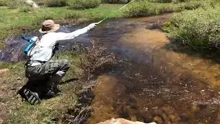 Catching Golden Trout in Golden Trout Wilderness