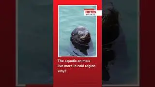Why Aquatic Animals Prefer Cold Regions | Biology class 10 | BoomEducation #shorts