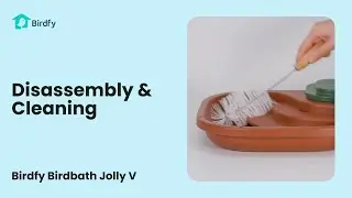 Disassembly & Cleaning - Birdfy Birdbath Jolly V Tutorial