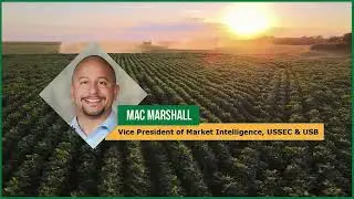 January 2021 WASDE Update