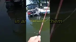 Karen jumps into the lake to get rid of fishermen 😂😂😂 #funny #shorts