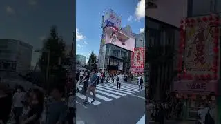 Shinjuku east exit cat is really cute and lifelike (Giant 3D Cat on Billboard) #3D #cat #shinjuku