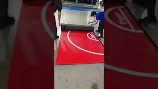 BJJ Roll Judo Vinyl Wrestling Foldable Mats Karate Taekwondo Tatami Aikido Floor Mats XPE Gymnastics