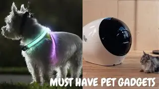 Must Have Pet Gadgets