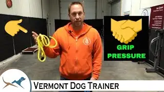 How to Hold a Dog Leash & Use Proper Grip Pressure
